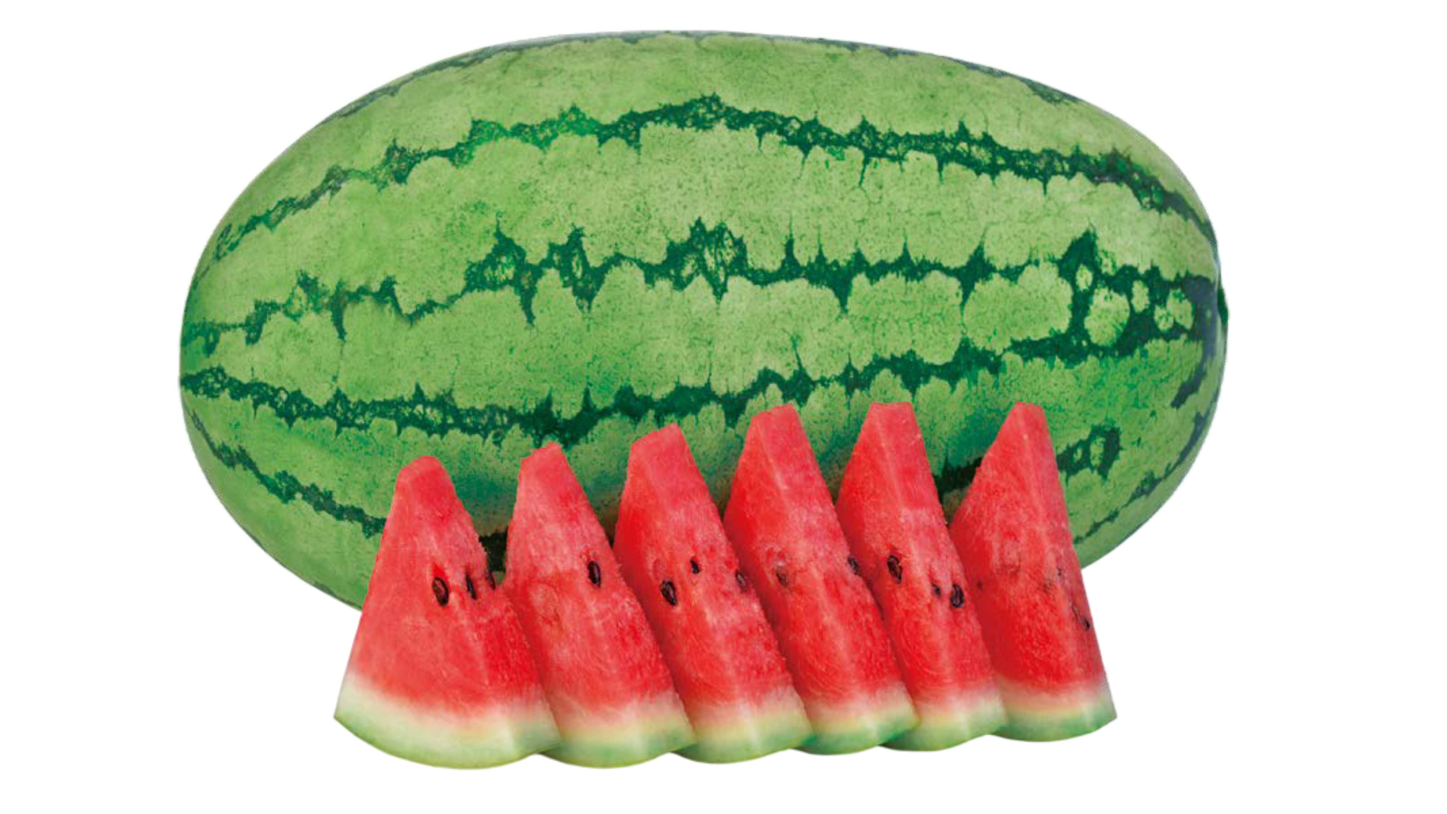 F1 Watermelon